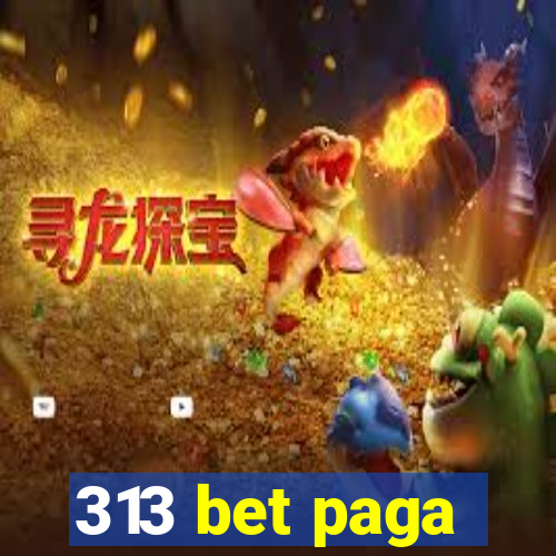 313 bet paga